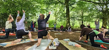 Yoga & Forest Bathing in the Woods