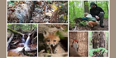 Storytelling Through Nature Photography