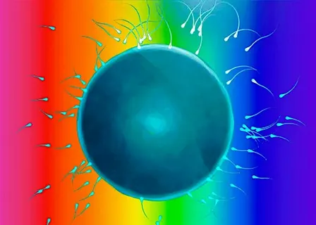 Queer Family Building Class - Insemination 101- Sept