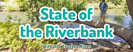 State of the Riverbank - Brodhead Park
