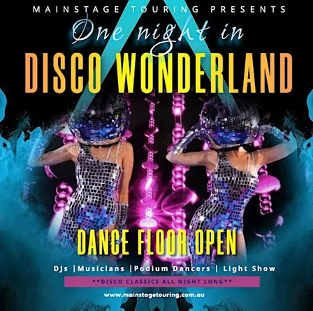 One Night In Disco Wonderland