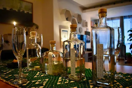 MEZCAL EXPERIENCE — La Roma, Mexico City by Rban Tours