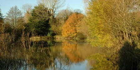 Depicting Landscape in Art – Going into Autumn, Henfield (100337035)