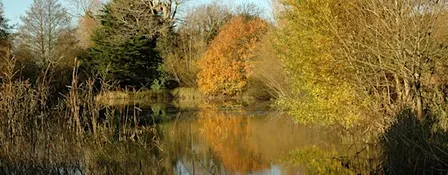 Depicting Landscape in Art – Going into Autumn, Henfield (100337035)