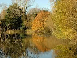 Depicting Landscape in Art – Going into Autumn, Henfield (100337035)