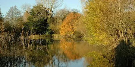 Depicting Landscape in Art – Going into Autumn, Henfield (100337035)
