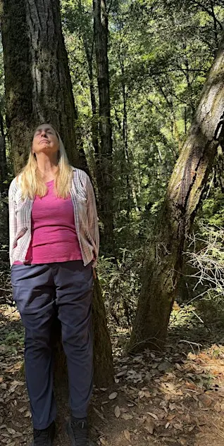 Nature Communication with the Trees - Free Admission