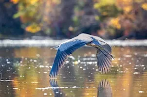 Photography Along the Canal