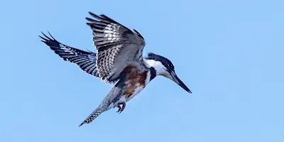 Nature's Supermarket (Adults & Ages 8+)