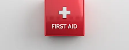Paediatric First Aid 12hr Blended Learning Training (PFA 3)