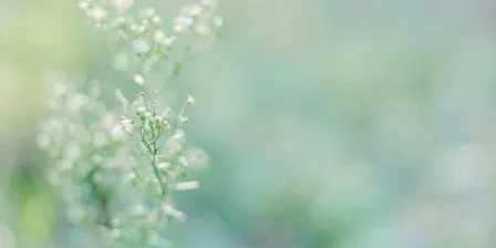 Reclaiming Your Strengths as a Highly Sensitive Person