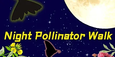 Night Pollinator Walk