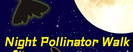 Night Pollinator Walk