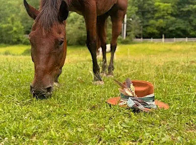 Feather and Felt x Havens Hideout Ranch Custom Hat Bar + Horseback Ride