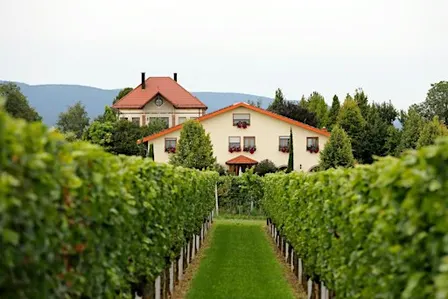 VILLA HOCHDÖRFFER x ZWANZIGZEHN - 5 Gang Fine Dining Menü