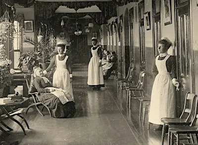 Asylums and Mental Health