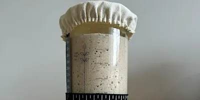 Sourdough Starter & Fermentation Fundamentals – Community Masterclass
