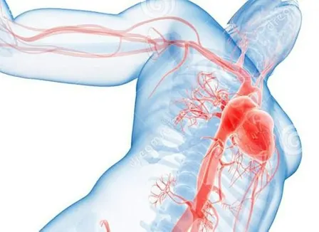 Vascular Care in the Community: Education and Skills Day