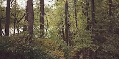 Fall into the Forest Hike