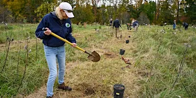 Fall Tree Planting
