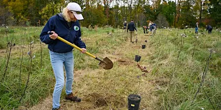 Fall Tree Planting