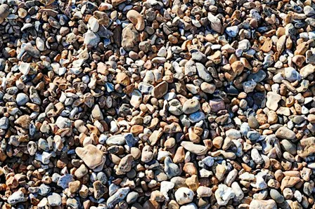 Craft Wednesdays - Pebble Painting