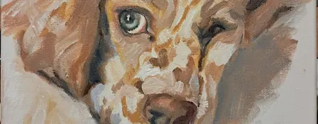 Capturing the Spirit - Animal Painting