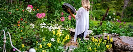 Coming Home to Your New Season: Mind-Body & Vision Women's 3-Day Retreat