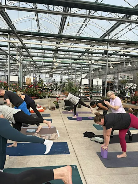 Yoga in the Greenhouse