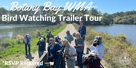 Botany Bay Bird Watching Trailer Tour
