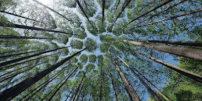 Health Benefits of Nature