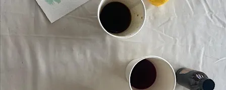 Introduction to natural dye workshop