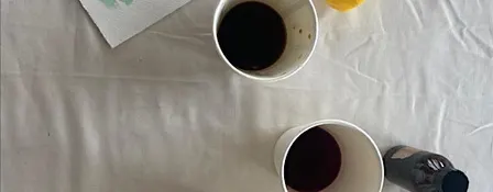 Introduction to natural dye workshop