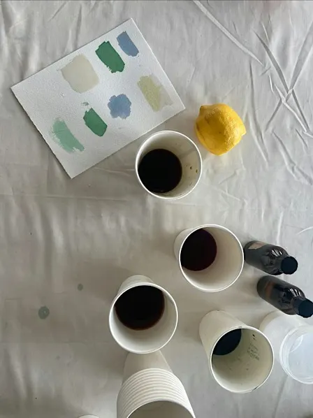 Introduction to natural dye workshop