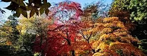 Westonbirt Arboretum
