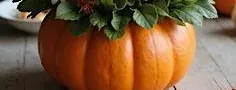 Floral Pumpkin Workshop