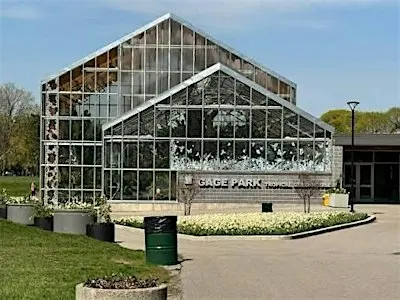 SAT • wellness walks • somatic walk @gageparkhamilton