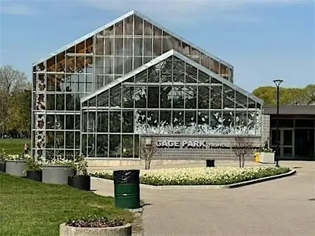 SAT • wellness walks • somatic walk @gageparkhamilton