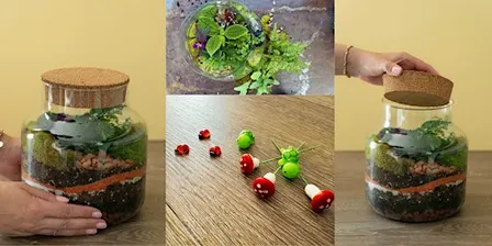 Build Your Own Terrarium Workshop at Mahoney's Tewksbury