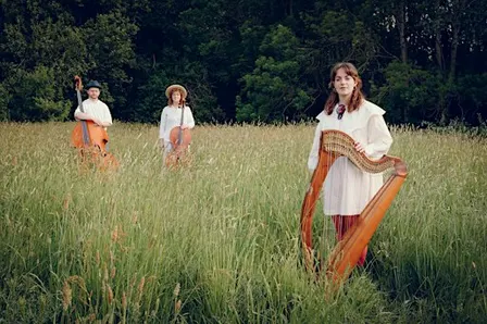 alt-folk @ temperance | Anna McLuckie Trio