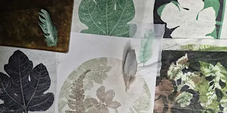 Autumn Gel Plate Printing Workshop and Walk - Woolley Firs, Friday 25 September