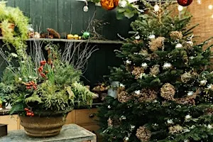 Festive Stylish Containers