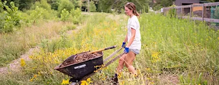 Volunteer in the Eco-Corridor: October 9