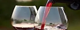 Pinot Noir