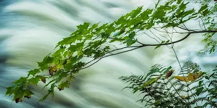 Master Your Camera Controls - Photography Class