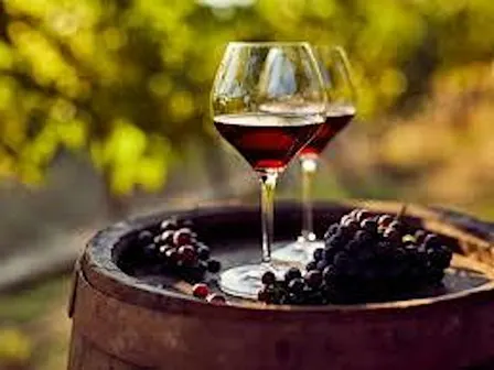 Cabernet Sauvignon