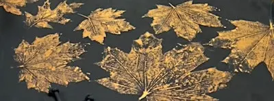 Leaf Print Tote Bag Workshop