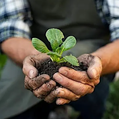 Blackwood LANDFARM Volunteer Sign-up