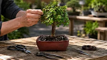 Beginner Bonsai Workshop with Elemental Nursery