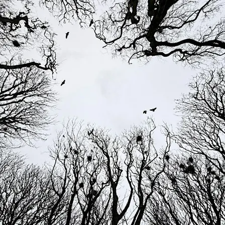 A Winter Day of Mindful Photography & Bookbinding